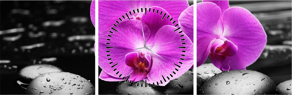 Obraz - Fialové orchidey (s hodinami) (90x30 cm)