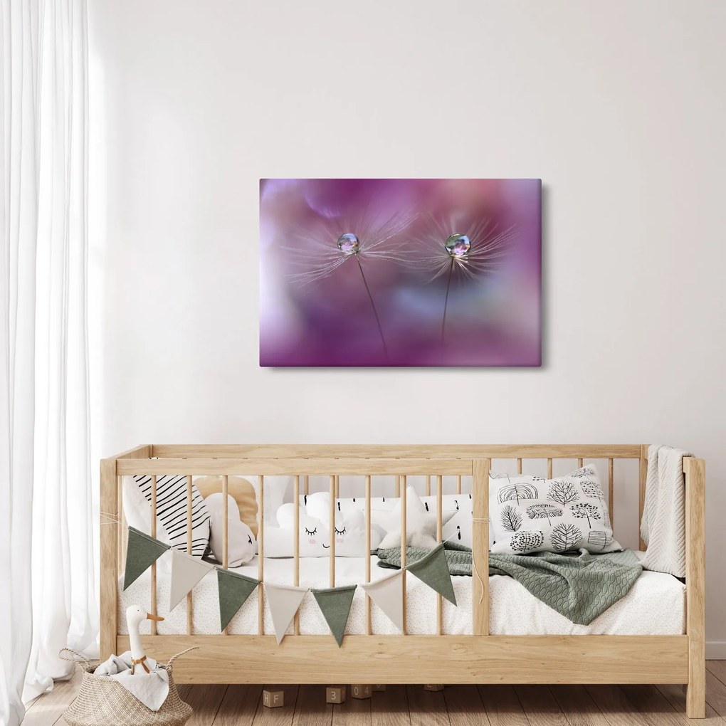 Obraz kvapôčok na páperí (90x60 cm)