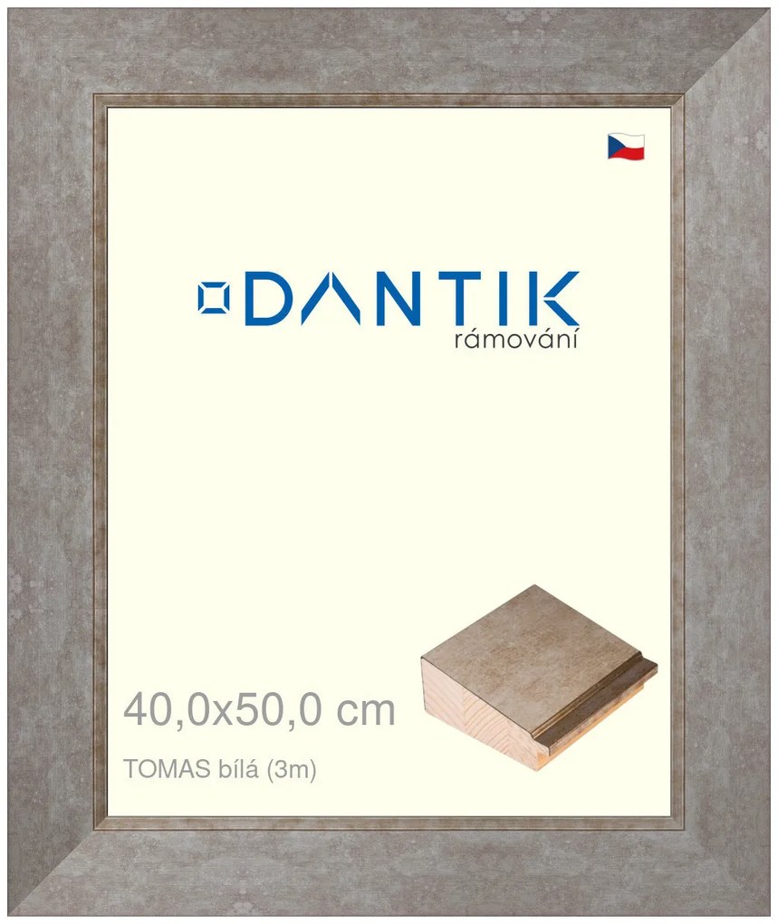 DANTIK rám na obraz 40x50 | TOMAS bílá velká (Sklo Čiré)