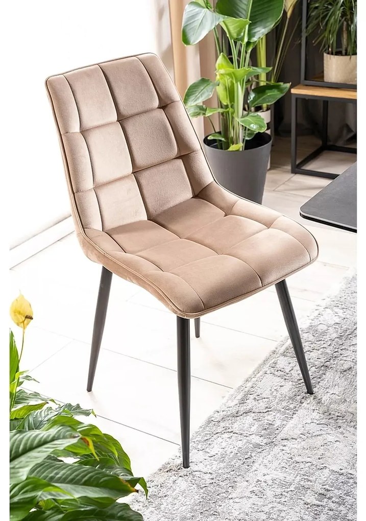 Čalúnená jedálenská stolička Chic - výber z 8 prevedení