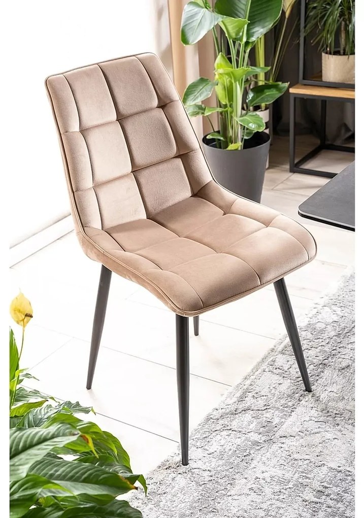 Čalúnená jedálenská stolička Chic - výber z 9 prevedení