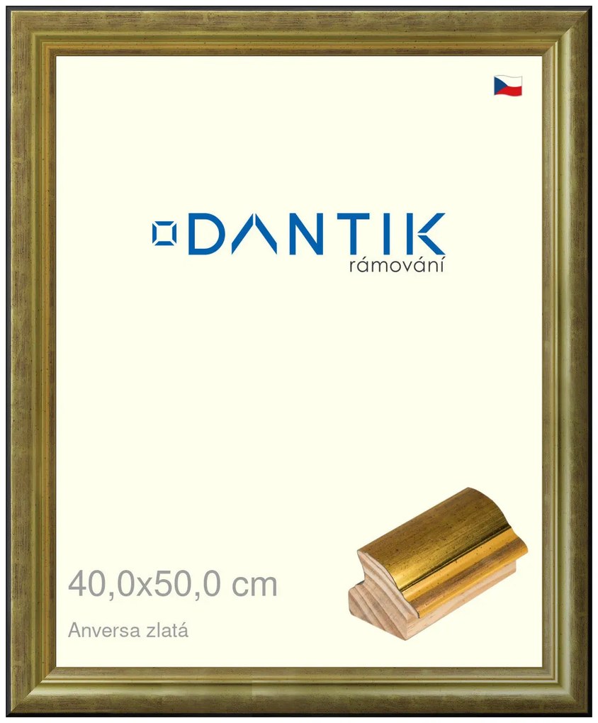 DANTIK rám na obraz 40x50 | ANIVERSA zlatá (Plexi Čiré)