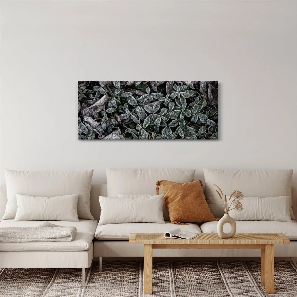 Obraz - Zamrznuté rastliny (120x50 cm)