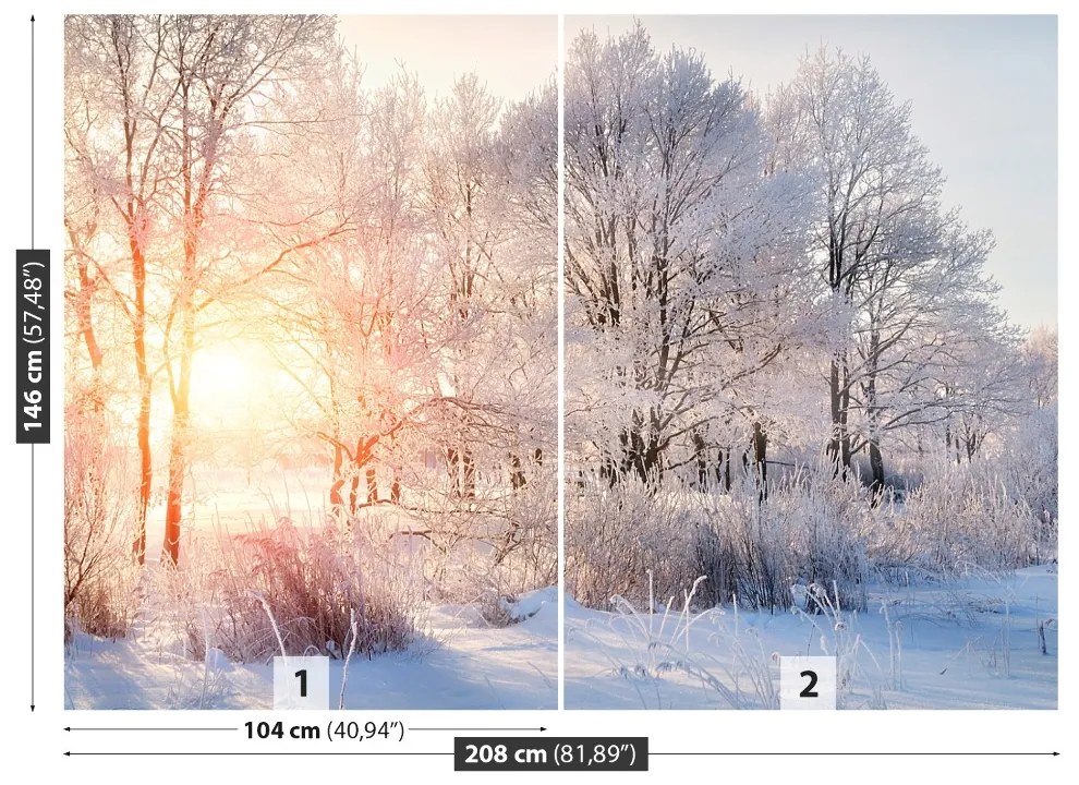 Fototapeta Vliesová Zimné stromy 104x70 cm