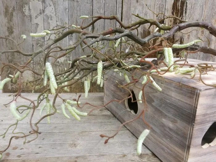 Vŕba konár umelá dekorácia 105cm