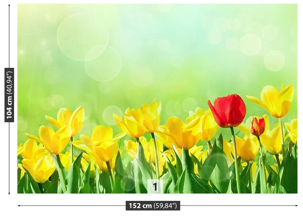 Fototapeta Vliesová Žlté tulipány 250x104 cm