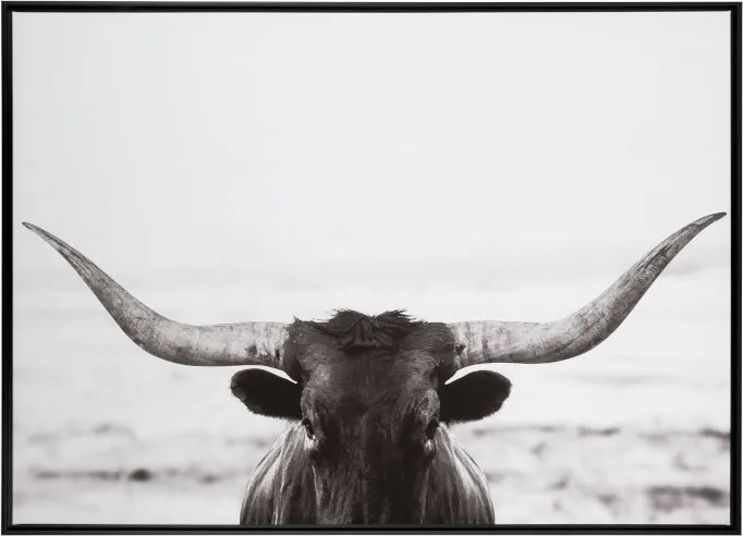 Obraz čierno-biela fotografie Bull - 104 * 144 * 4,3 cm