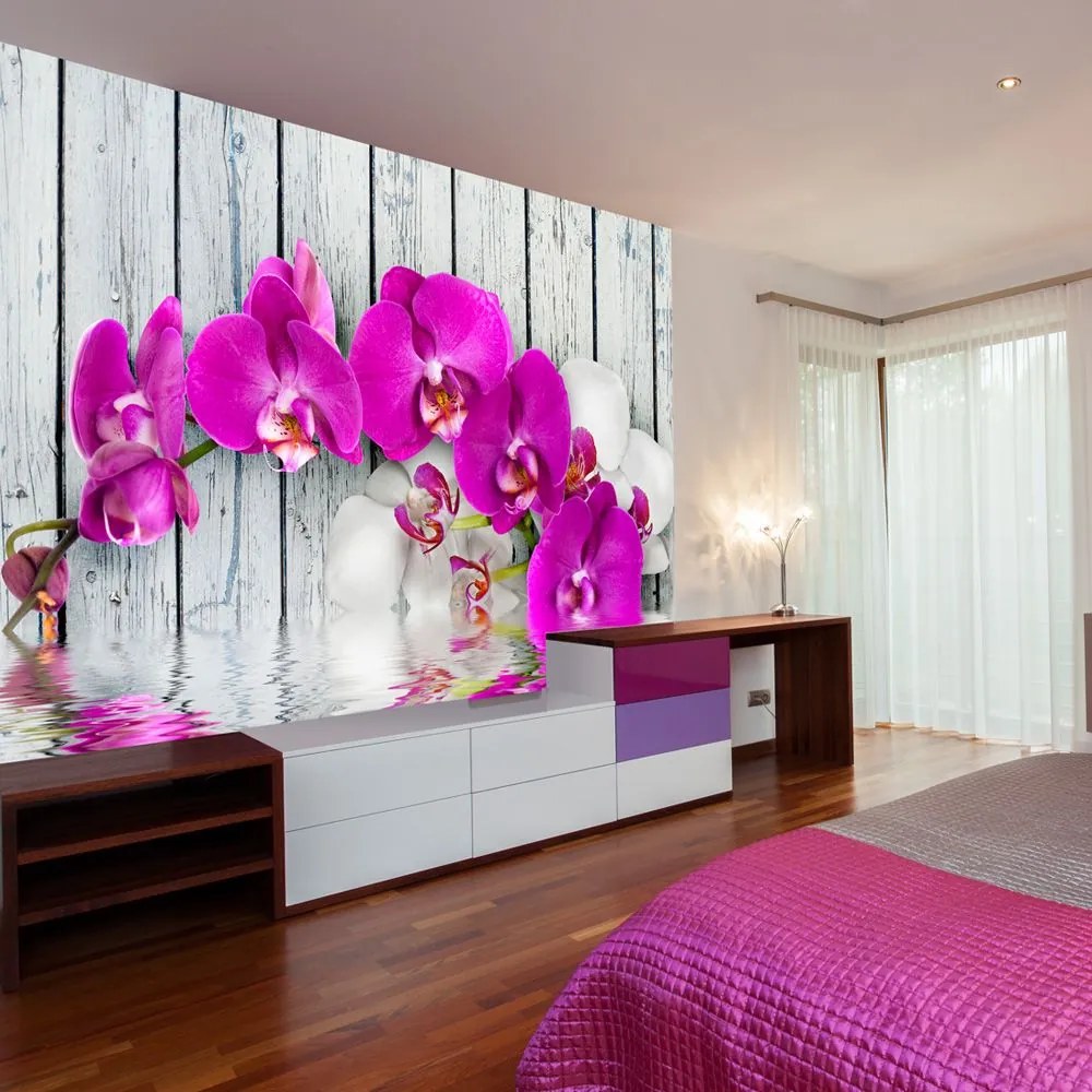 Fototapeta - Violet orchids with water reflexion 350x270