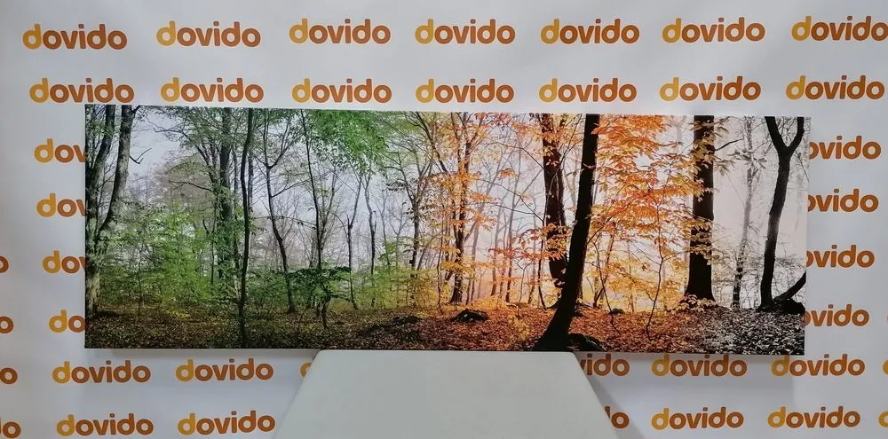 Obraz štyri ročné obdobia - 150x50