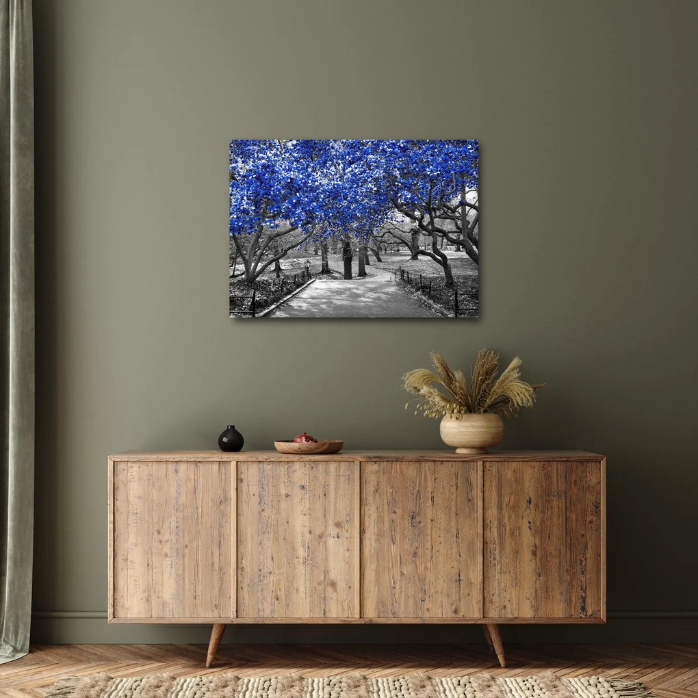 Obrázok - Modré stromy, Central Park, New York (70x50 cm)