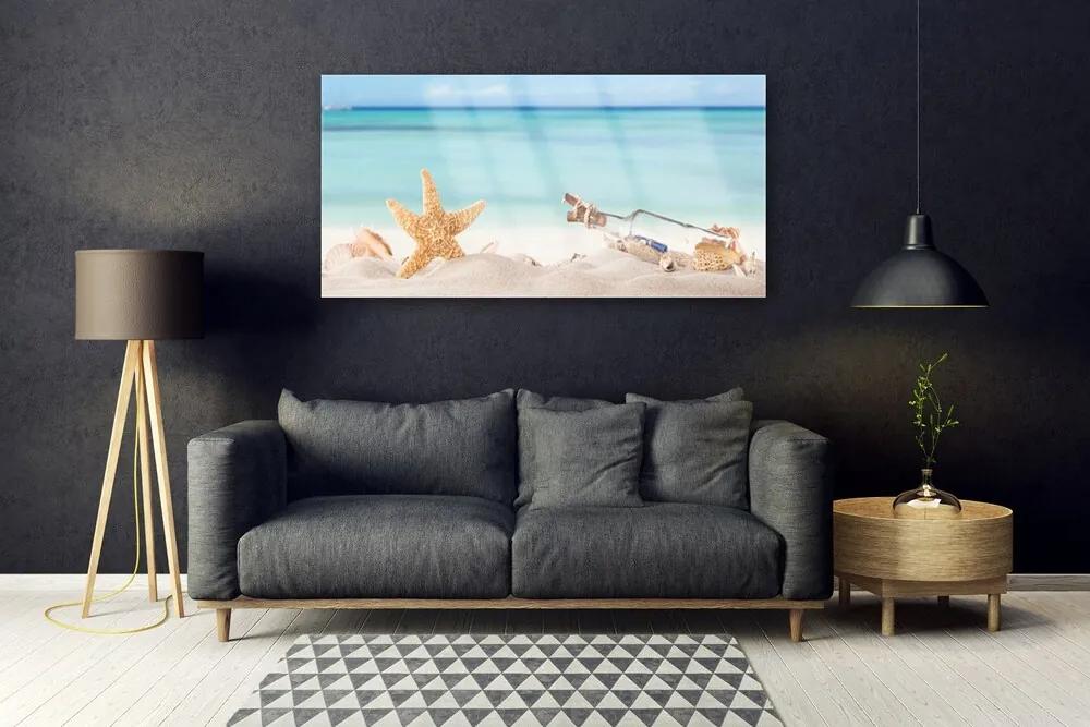 Obraz plexi Hviezdice mušle pláž 120x60 cm