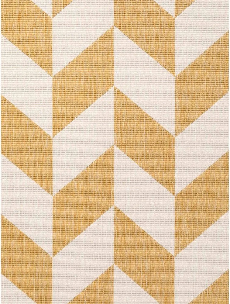 Okrovožltý/krémovobiely vnútorný a vonkajší koberec 160x230 cm Haringey Terrick – Ted Baker