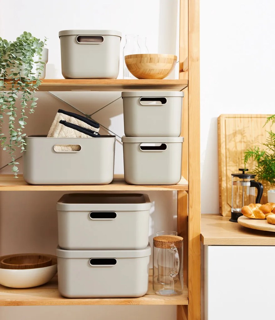 Rotho Úložný box s vekom, 12 l, matná biela ALBU LIGHT, 40 x 24 x 18 cm