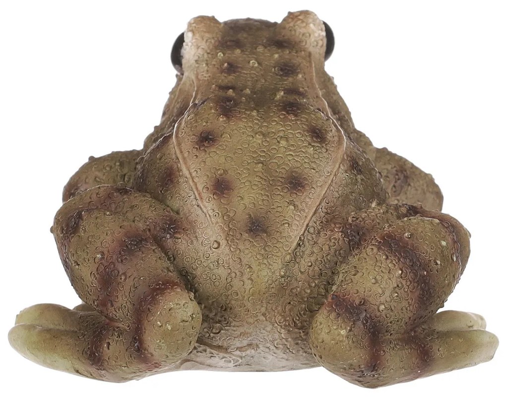 Záhradná dekorácia Žaba, 10 x 6 x 8 cm, polyresin