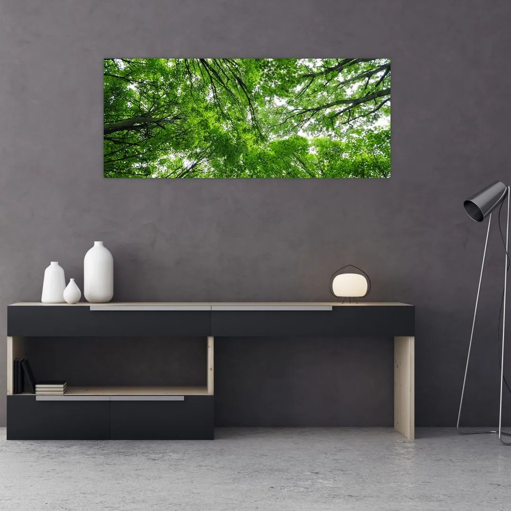 Obraz - Pohľad do korún stromov (120x50 cm)