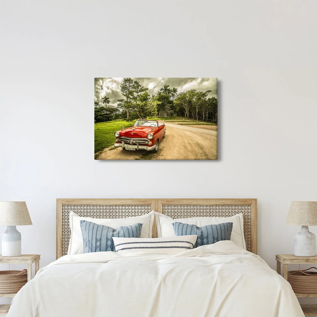 Obraz - auto veterán v prírode (90x60 cm)