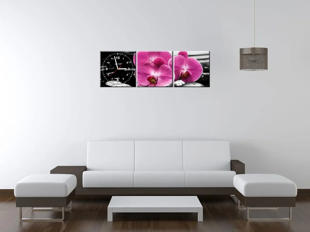 Gario Obraz s hodinami Krásna orchidea medzi kameňmi - 3 dielny Rozmery: 90 x 30 cm