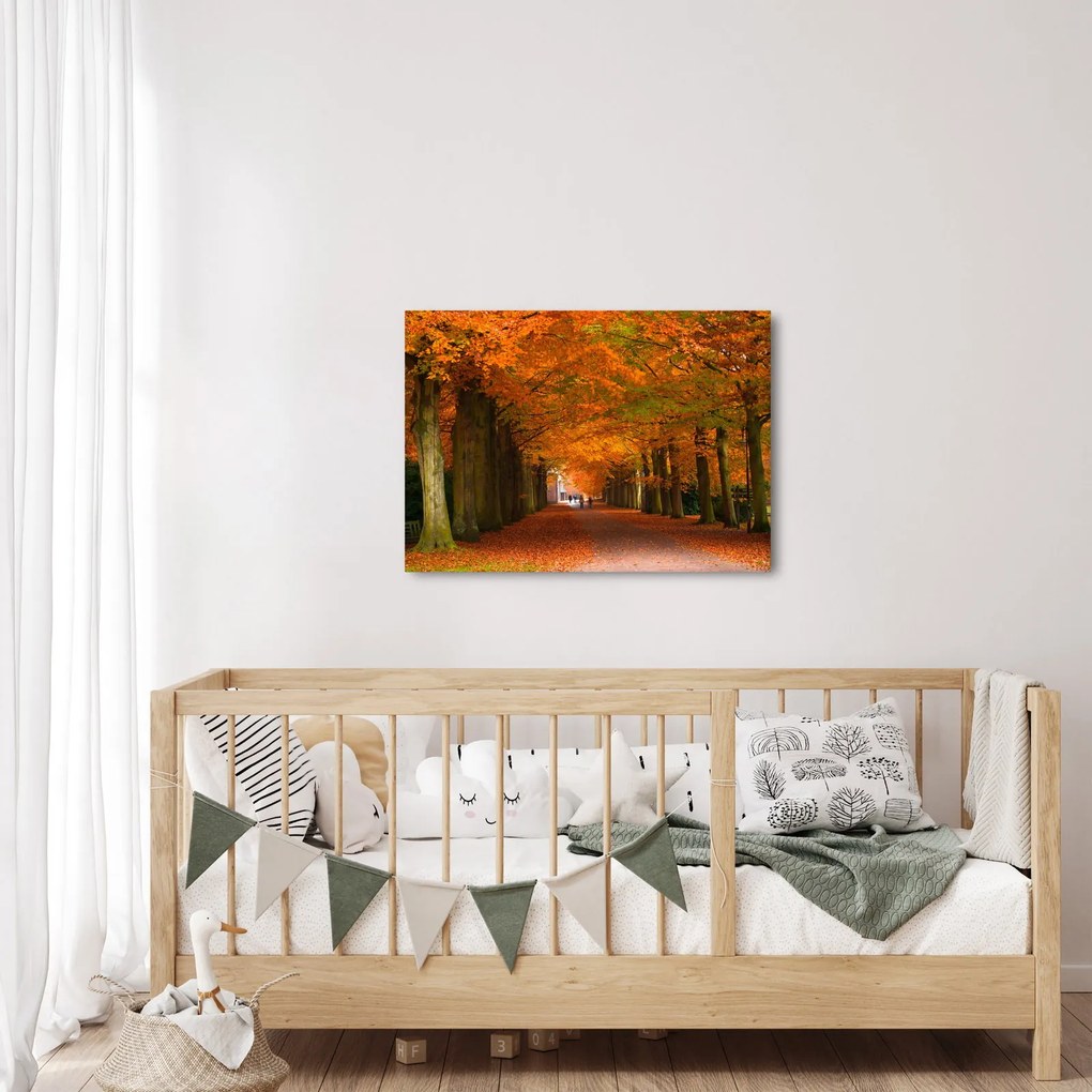 Obraz - Jeseň Alej stromov (70x50 cm)