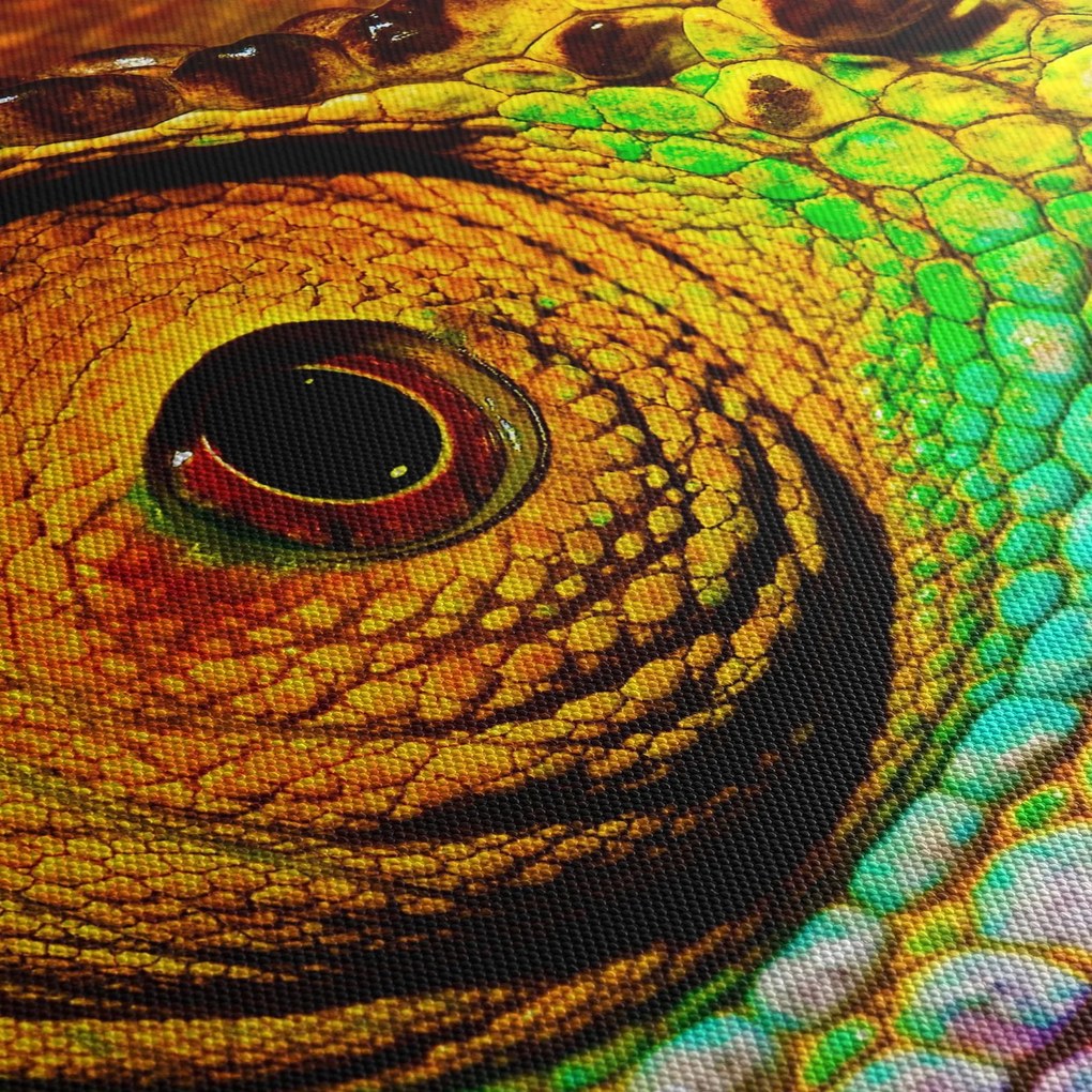 Obraz - Chameleon (90x60 cm)