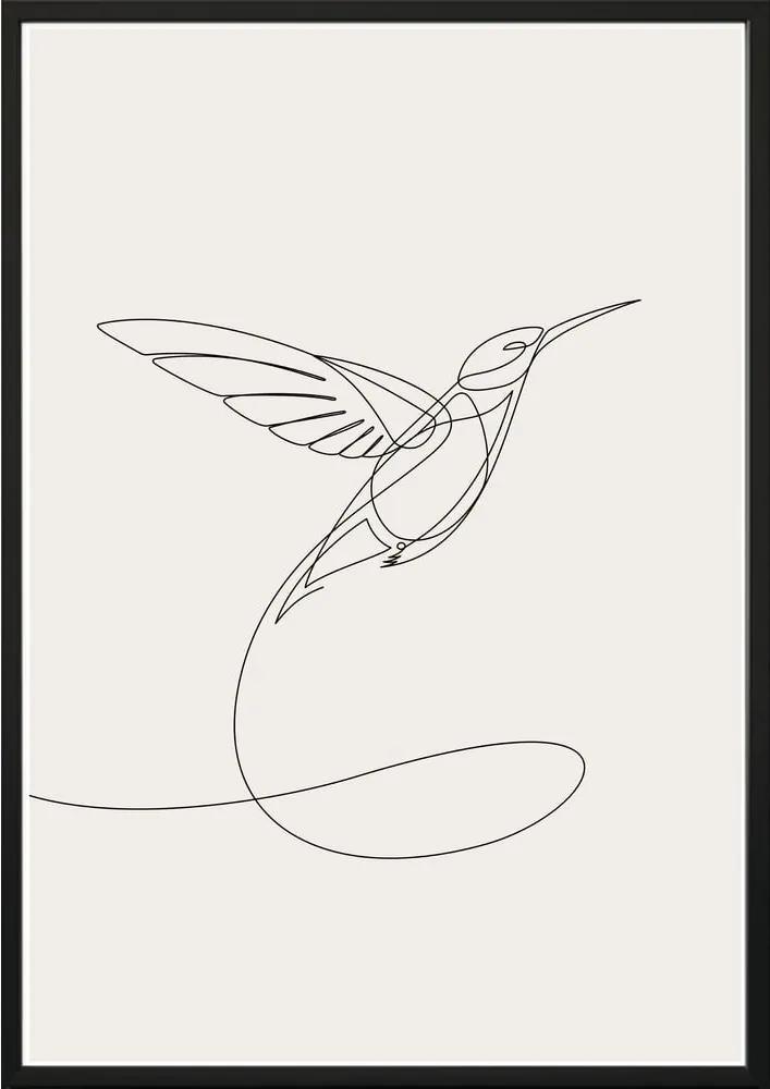 Nástenný plagát v ráme SKETCHLINE/HUMMINGBIRD, 50 x 70 cm