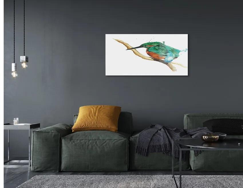 Sklenený obraz Farebné maľované papagáj 100x50 cm