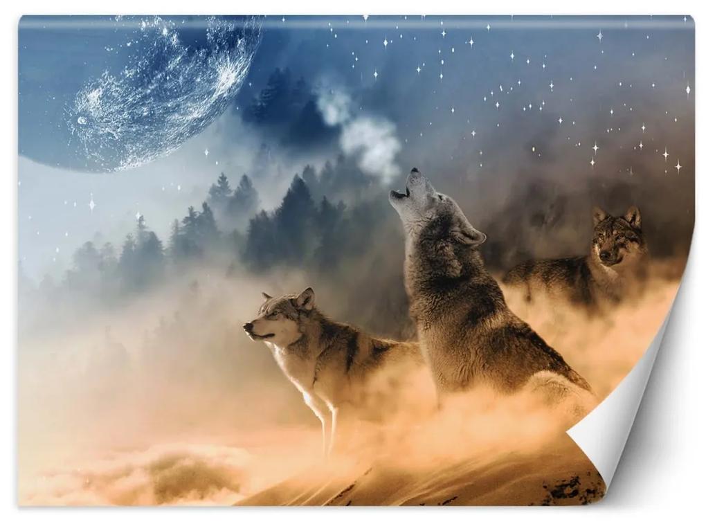 Fototapeta, vlci zvířata les příroda - 250x175 cm
