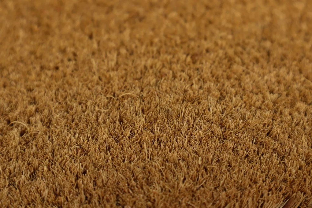 Trade Concept, Rohožka Kokos Svieži vietor - na von aj na doma, 40x60, hnedá, chodba / predsieň