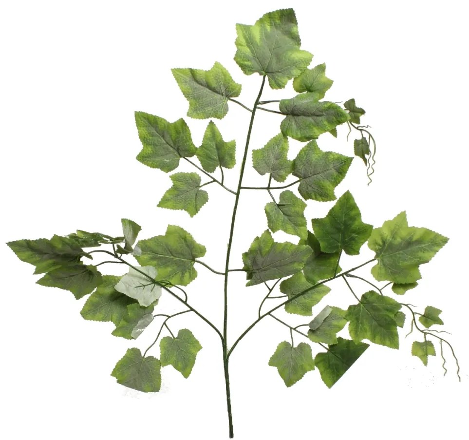 Hrozno zelené 200 cm