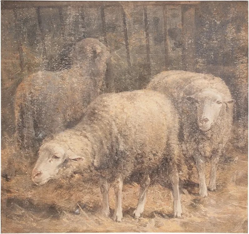 Hnedý obraz ovečky na plátne - 50*3*50 cm