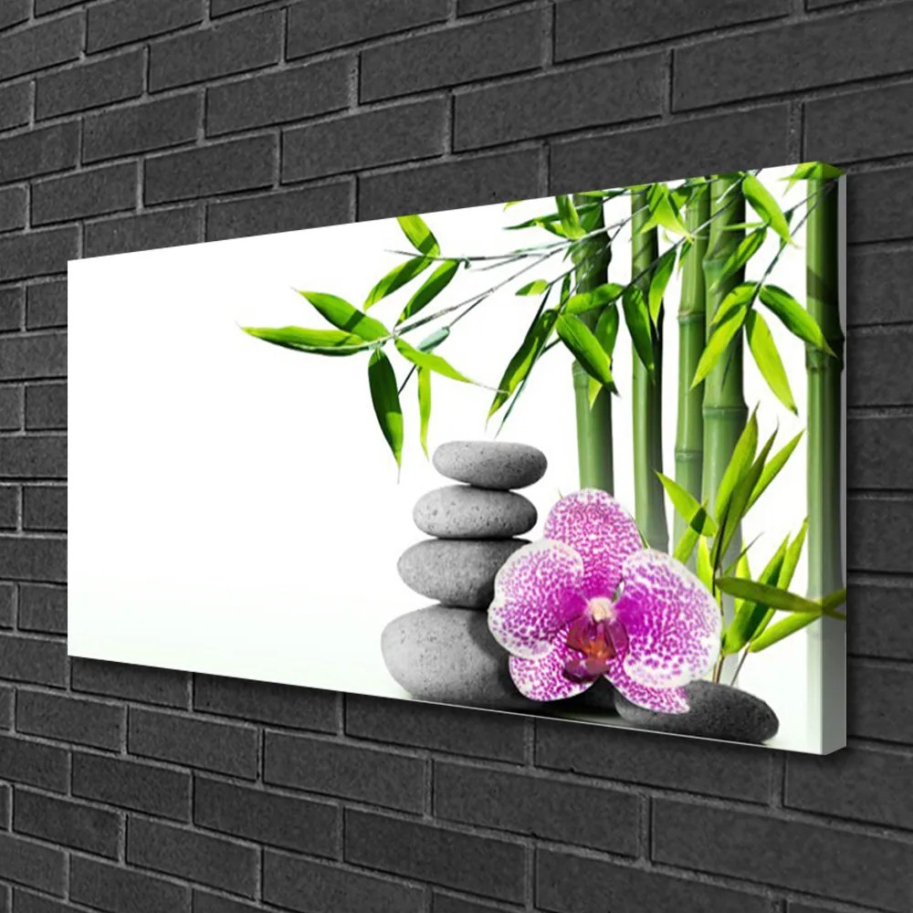 Obraz Canvas Bambus kamene zen umenie 125x50 cm