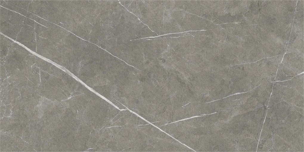 Dlažba Eternal Dark Natural 60x120 R