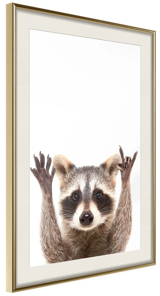 Artgeist Plagát - Raccoon [Poster] Veľkosť: 30x45, Verzia: Čierny rám s passe-partout