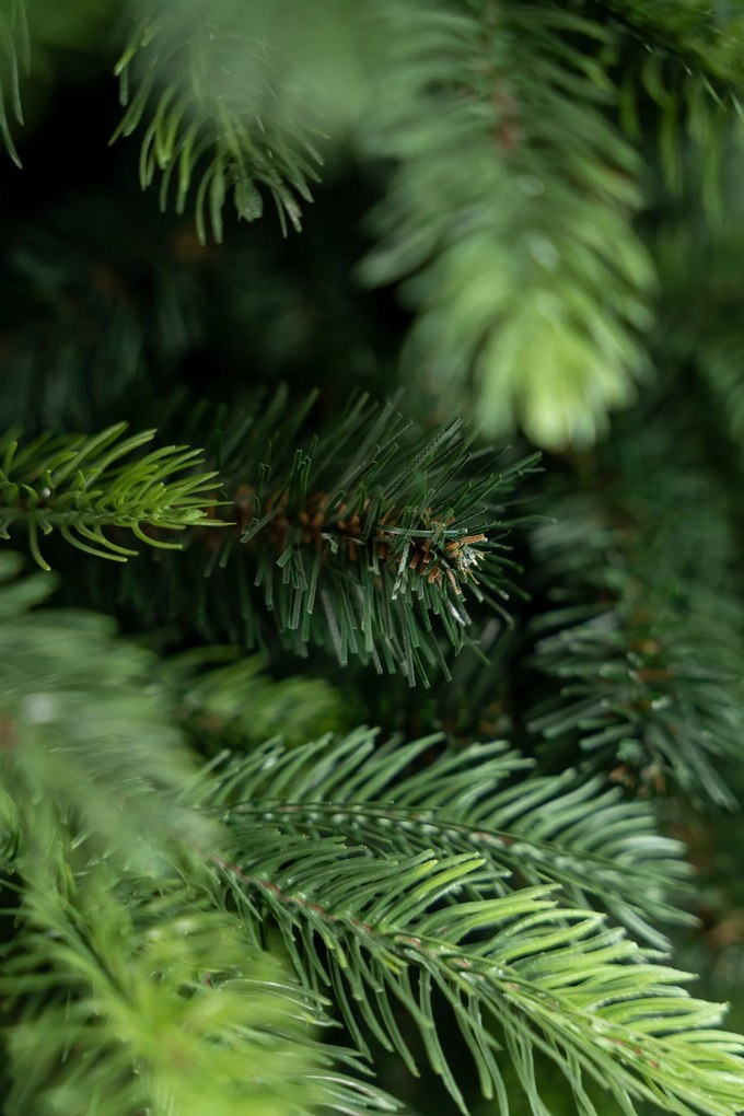 Limpol Umelý vianočný stromček Borovica Nevada Výška stromčeka: 240 cm