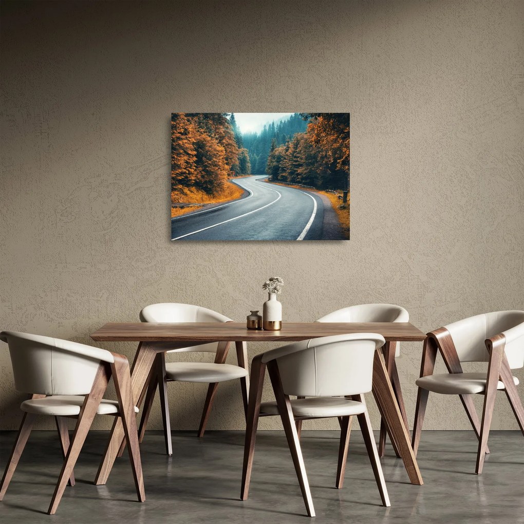 Sklenený obraz - Kľukatá cesta (70x50 cm)
