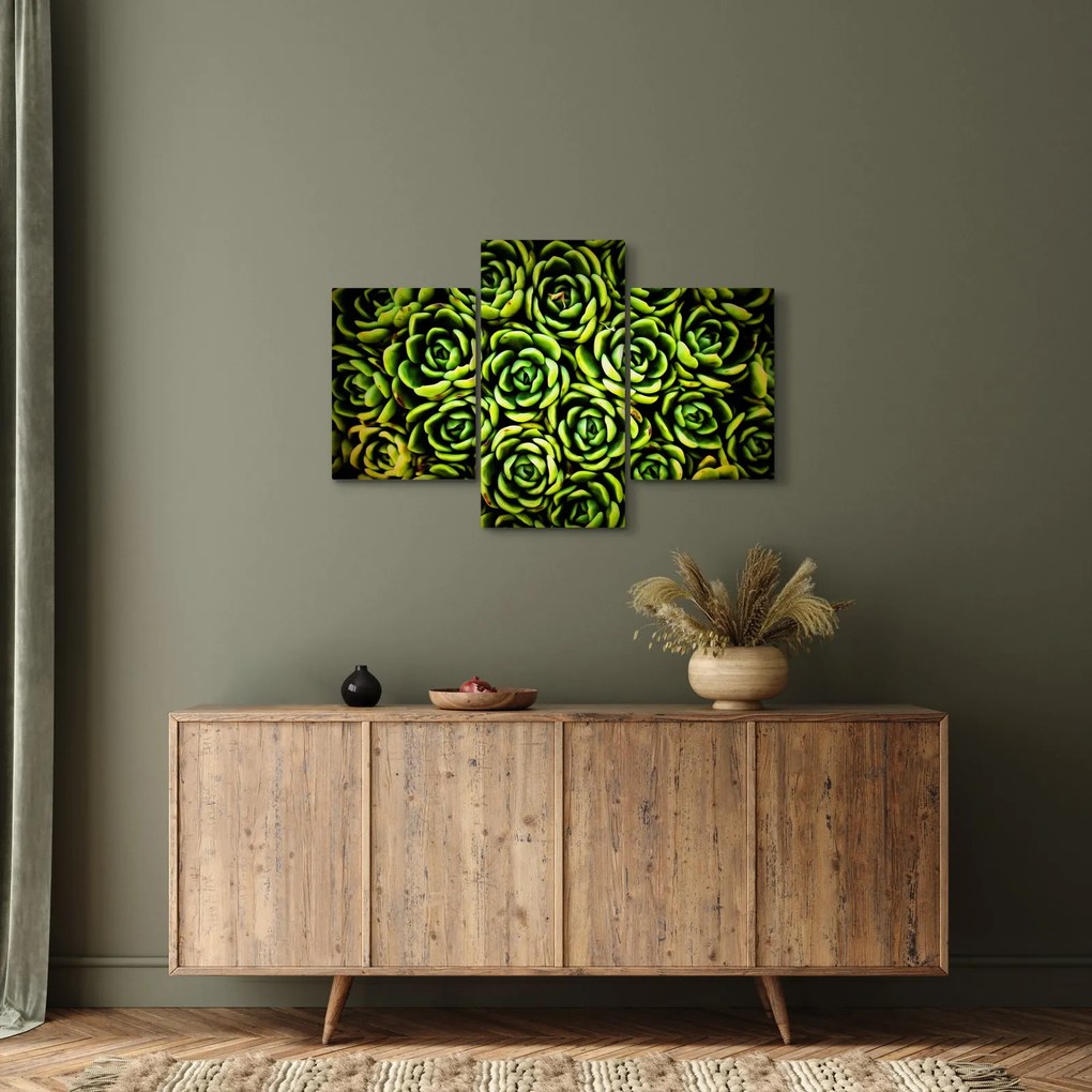 Obraz skalníc (90x60 cm)