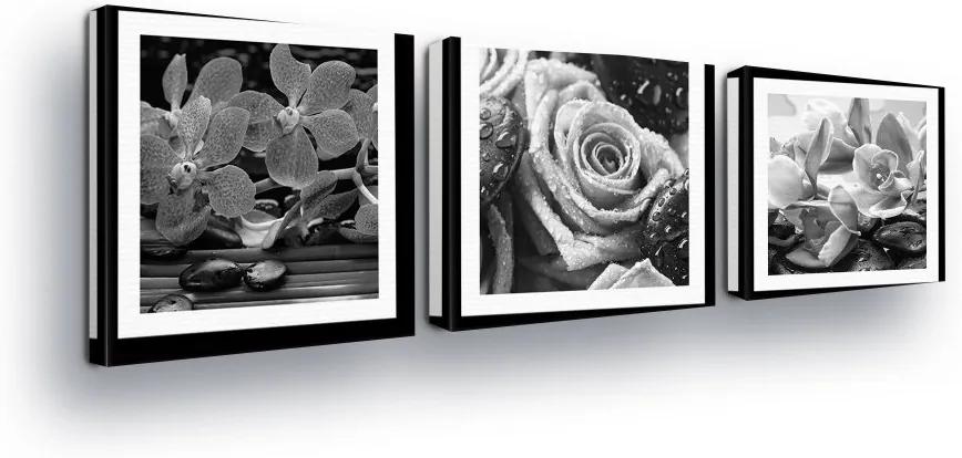 GLIX Obraz na plátne - Black and White Roses in the Passepartout 3 x 25x25 cm