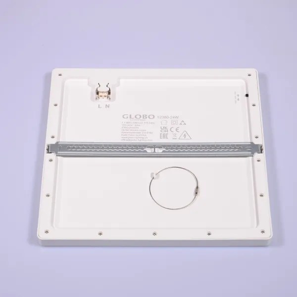 Globo 12380-24W - LED Stropné svietidlo LASSE LED/24W/230V 3000/4000/6500K biela
