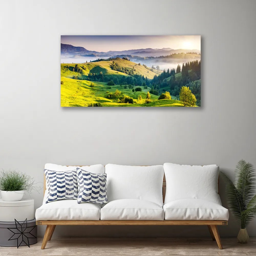 Obraz na plátne Hora pole hmla príroda 140x70 cm
