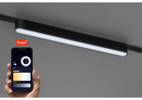 Rabalux 70124-LED Stm. str. svieti. do 1-fáz. lišt. sys. LiTrack 16W/24V 33 cm