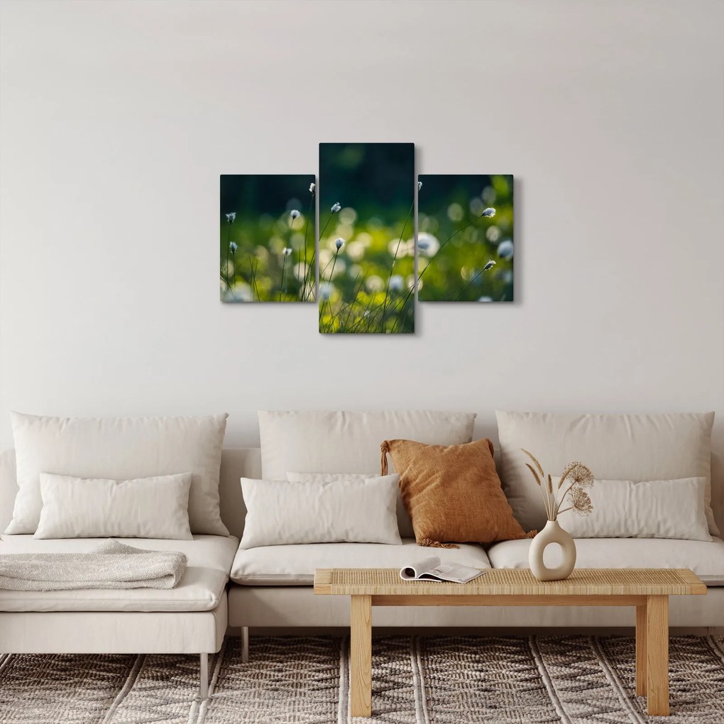 Obraz - Tráva (90x60 cm)