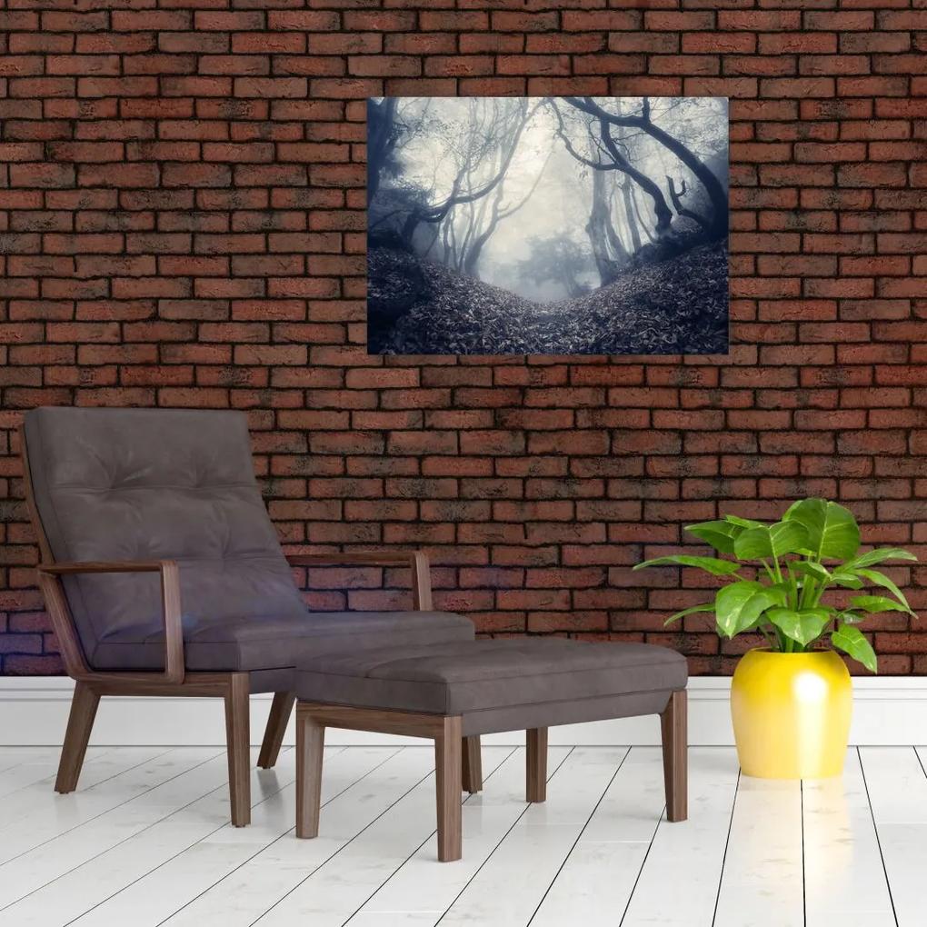 Sklenený obraz - Les v hmle (70x50 cm)