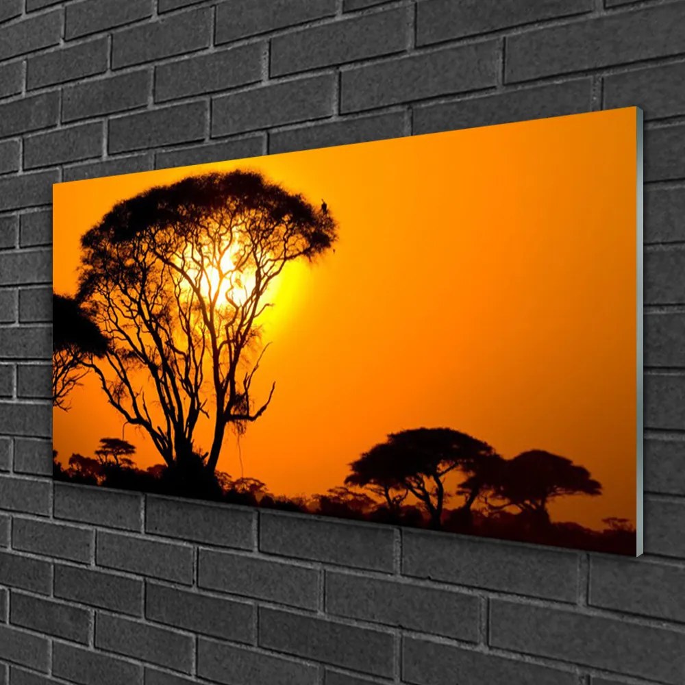 Obraz na skle Strom slnko príroda 120x60 cm