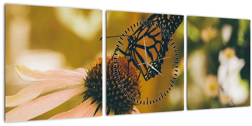 Obraz motýľa na kvetine (s hodinami) (90x30 cm)