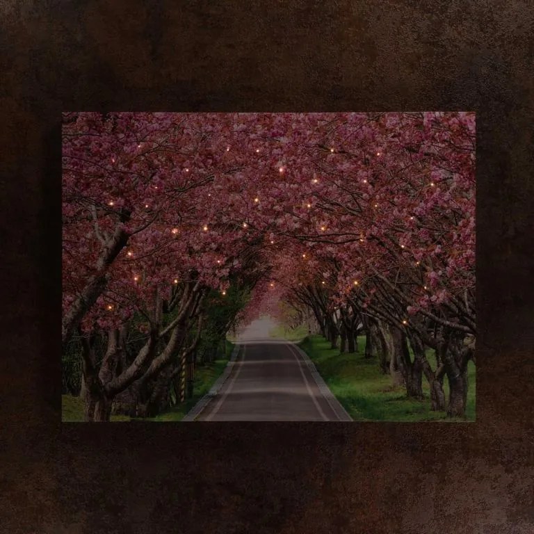 Nástenná maľba rozkvitnutá alej stromov, 40 LED, 30 x 40 cm
