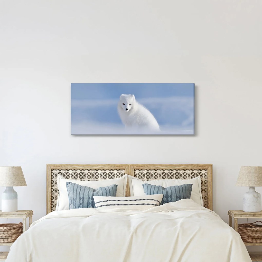 Obraz - Polárna líška (120x50 cm)