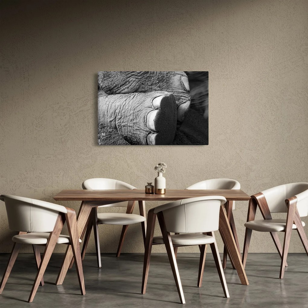 Obraz - Slonia noha (90x60 cm)