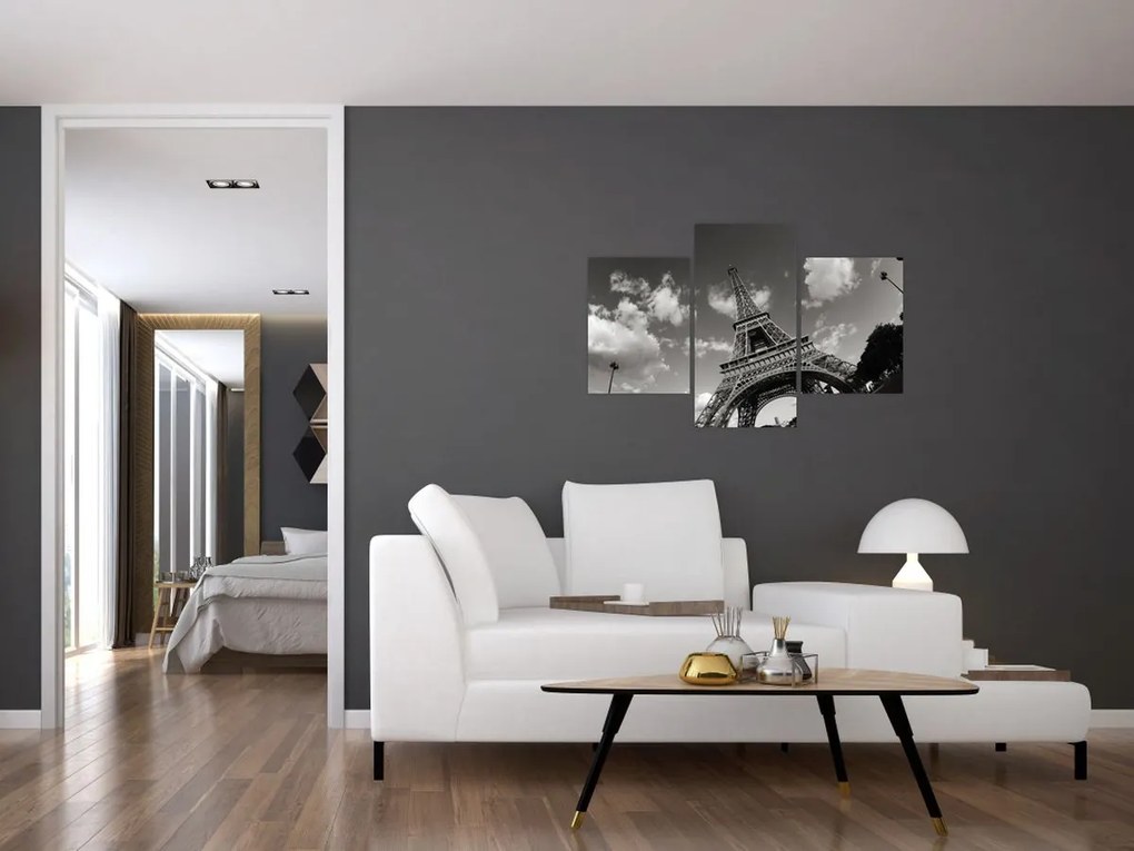 Obraz - Eiffelova veža v Paríži (90x60 cm)