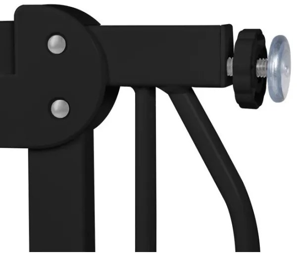 Lionelo - Bezpečnostná bránka TRUUS SLIM čierna/hnedá