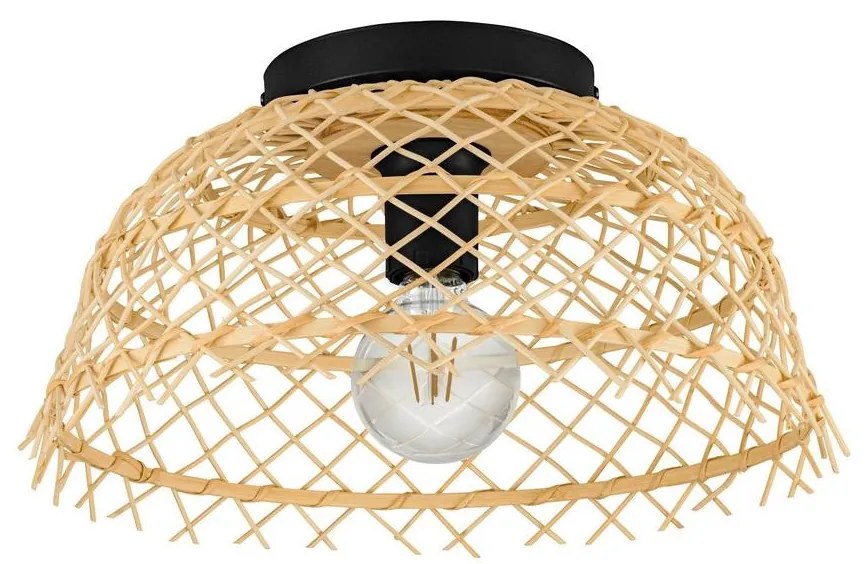 Eglo 43831 - Stropné svietidlo AUSNBY 1xE27/40W/230V