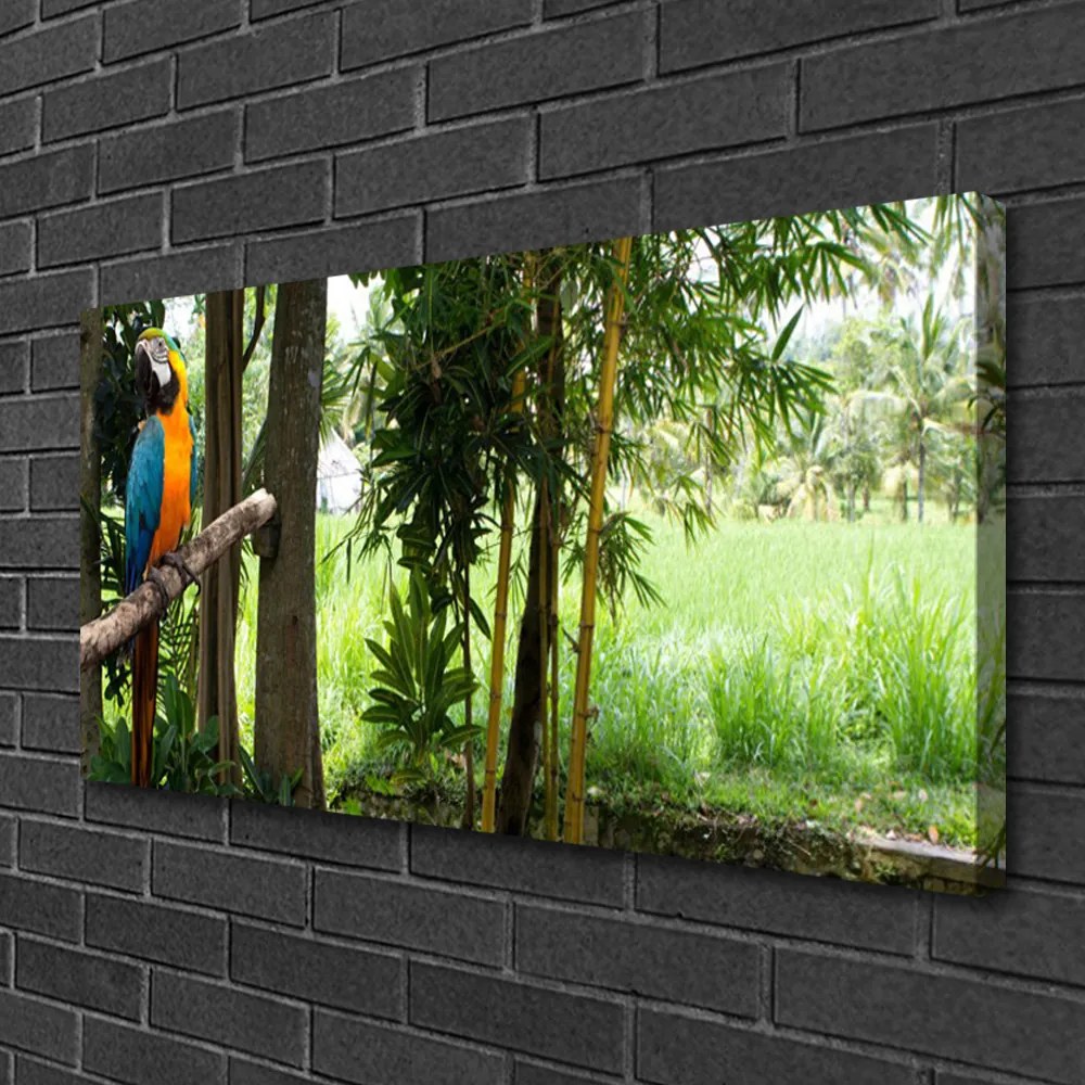 Obraz Canvas Papagáj stromy príroda 120x60 cm
